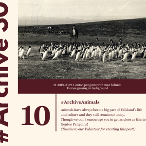 archive-30--day-10--archiveanimals