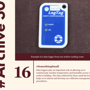archive-30--day-16--somethingsmall