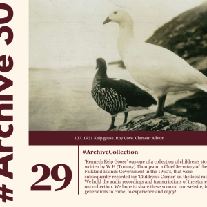 archive-30--day-29--archivecollection